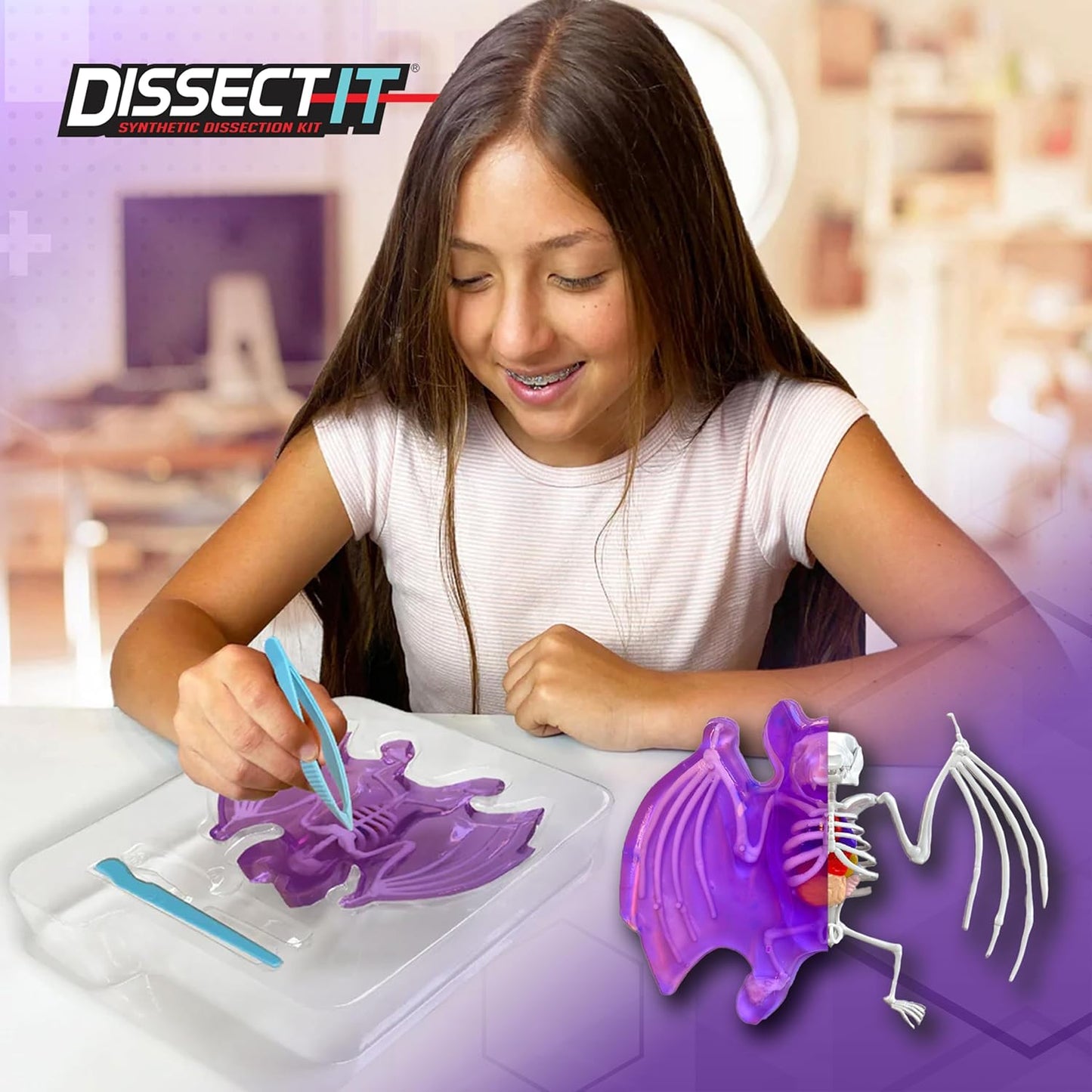 Dissect-It Simulated Synthetic Lab Dissection Toy, STEM Projects for Kids, Animal Science, Biology, and Anatomy Home Learning Kit, Bat