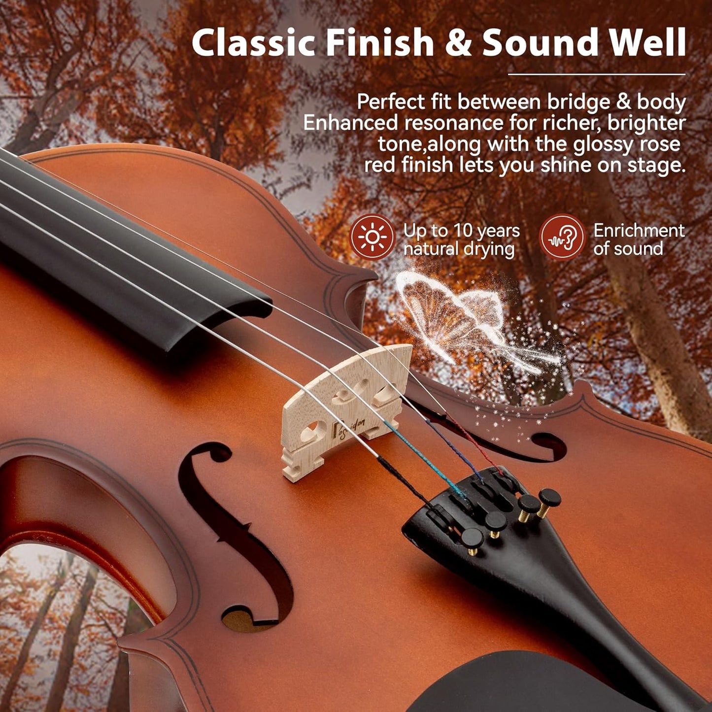 Poseidon 3/4 Violin Set for Beginner - Premium Handcraft Violin for Kids Adults with Hard Case, Bow, Rosin, Extra Violin Strings 3/4 Full Set, Shoulder Rest, Clip-on Tuners - Matte Brown