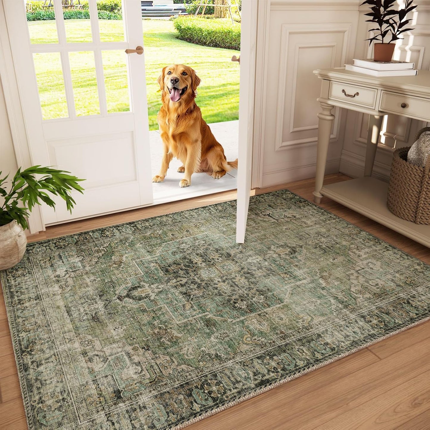 Machine Washable Throw Rugs for Entryway: Door Mat Indoor Entrance 3x5 Small Rug Stain Resistant Non-Slip Low Pile Soft Carpet for Kitchen Front Door Indoor Entrance Entry Bedroom